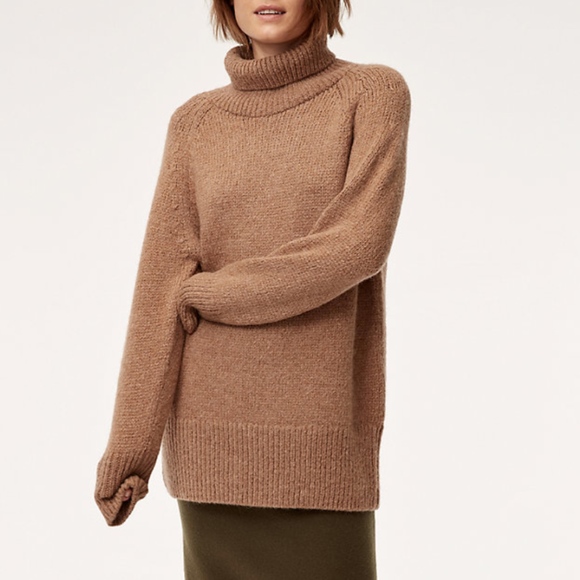 Aritzia Sweaters - Aritzia Day Off Turtleneck Sweater (Oversized)